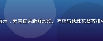 色花堂精品花材展示，云南直采新鲜玫瑰、芍药与绣球花整齐排列，色彩层次丰富