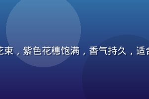 色花堂精选云南薰衣草干花束，紫色花穗饱满，香气持久，适合家居装饰与干花花艺创作